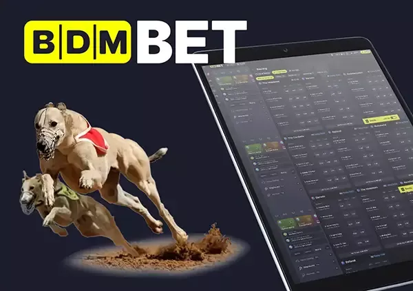 BDMbet αναλήψεις